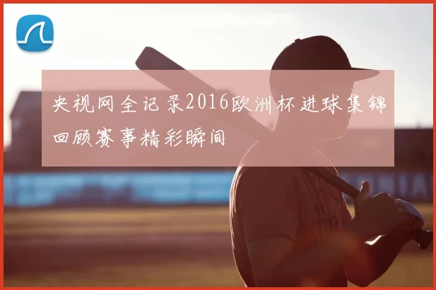 央视网全记录2016欧洲杯进球集锦回顾赛事精彩瞬间