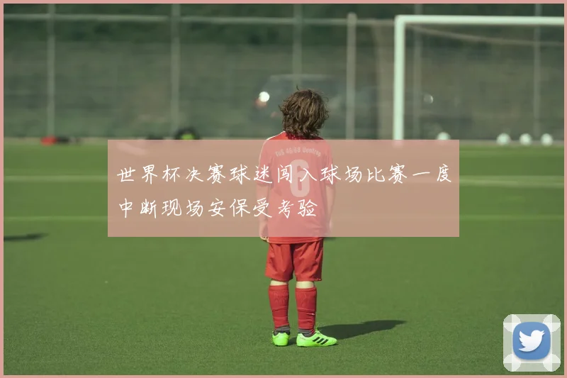 世界杯决赛球迷闯入球场比赛一度中断现场安保受考验