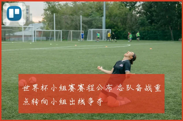 世界杯小组赛赛程公布 各队备战重点转向小组出线争夺